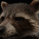 Illustration for article titled Rocket Raccoon in stunning detail looks absolutely amazing